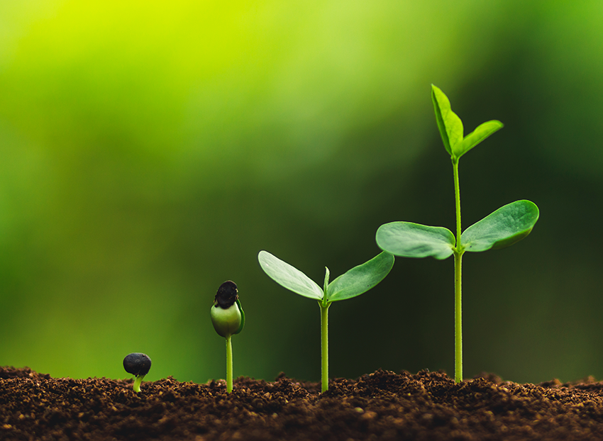 Investments & Pensions Investments & Pensions